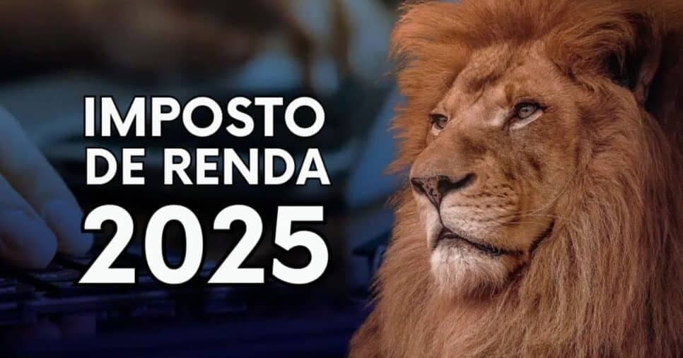 Ilustração Imposto de Renda (Foto: Reprodução / Internet)