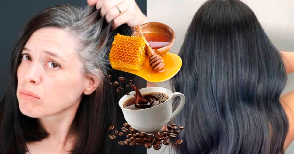 Café, mel e +2: Receita natural com 4 ingredientes elimina todo cabelo branco das 55+ em apenas 5 minutos