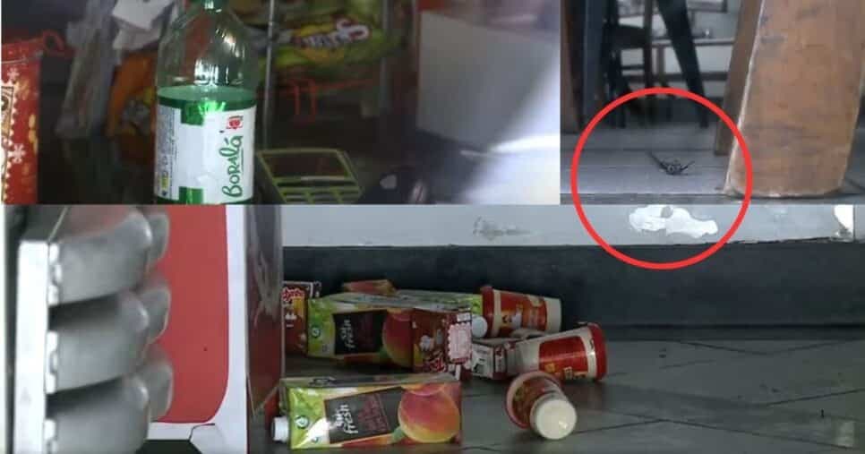 Padaria Sabina ficou com produtos abandonados em todo espaço e até moscas mortas no chão (Foto Reprodução/Montagem/Tv Foco/Canva/YouTube) Padaria Sabina ficou com produtos abandonados em todo espaço e até moscas mortas no chão (Foto Reprodução/Montagem/Tv Foco/Canva/YouTube)