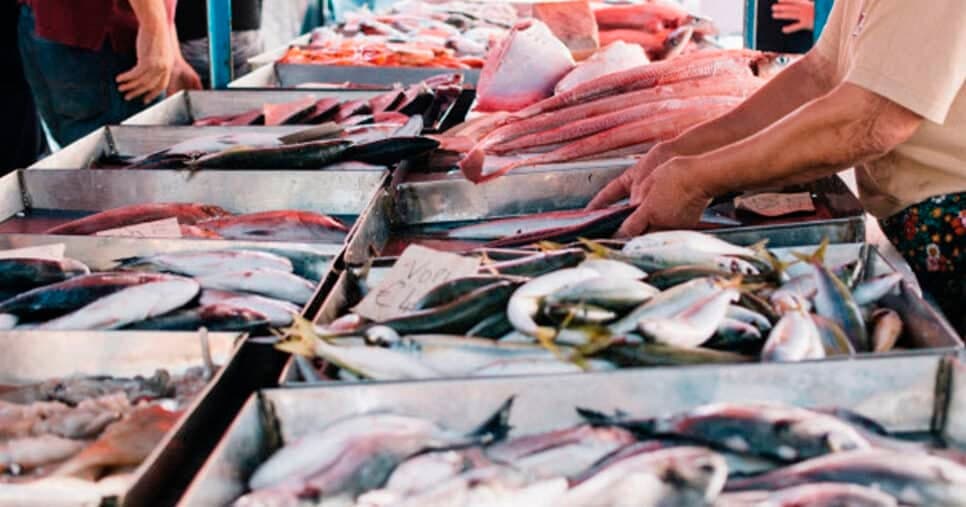 Peixaria (Foto: Reprodução)