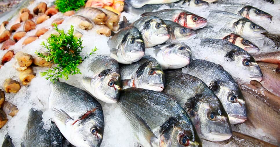 Peixes e frutos do mar em uma peixaria (Foto: Reprodução) 