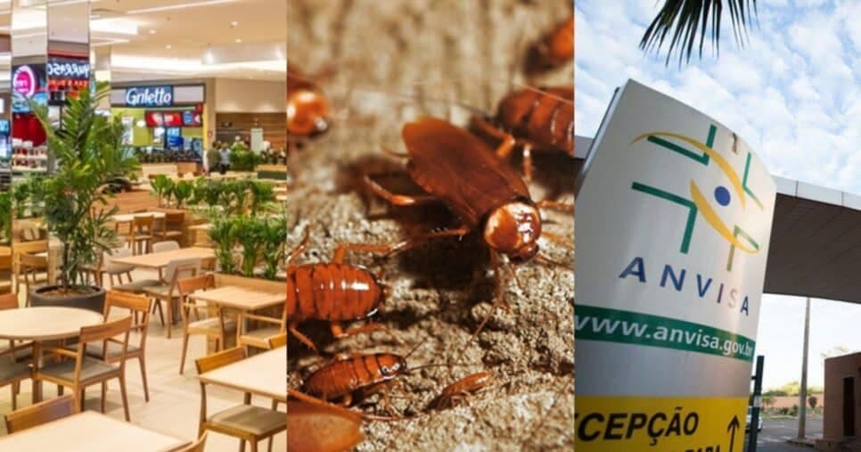 Baratas e sujeira: ANVISA interdita praça de alimentação de shopping nº1 de Brasília, DF, por nojeira