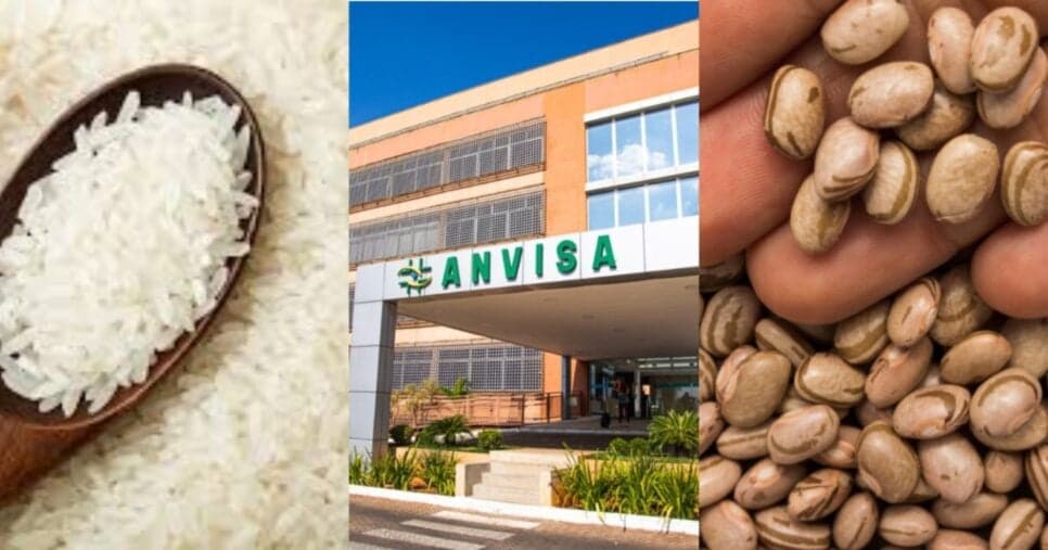 Arroz, feijão e+: ANVISA baixa facão com decreto contra gigante alimentícia em Campo Grande, MS, por nojeira