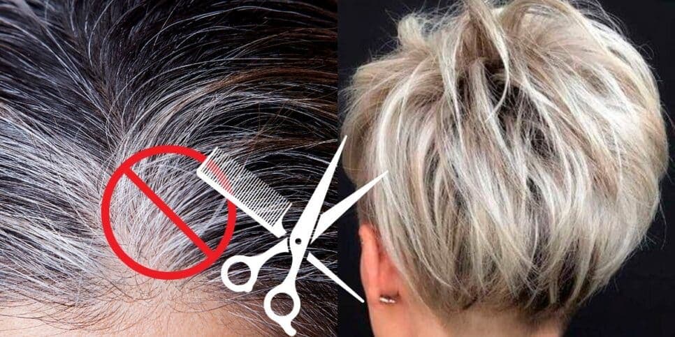 Rejuvenesça até 25 anos em minutos: 5 cortes de cabelo e tons para acabar com os fios brancos
