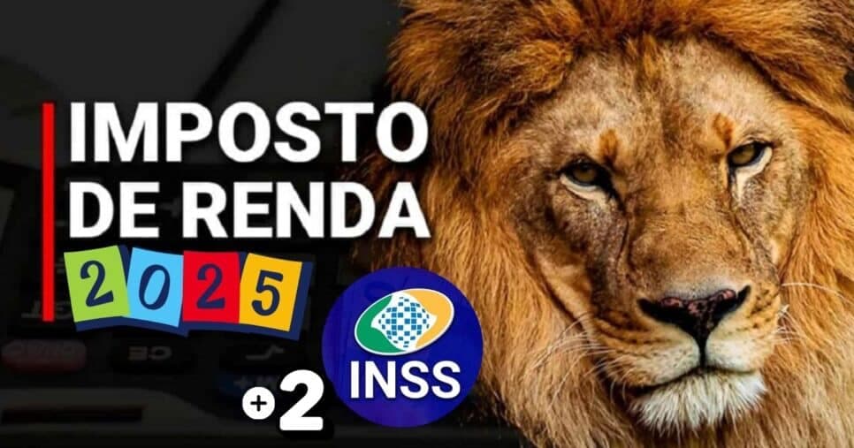 Pode vibrar: Lista de aposentados do INSS e +2 grupos não precisam declarar Imposto de Renda em 2025