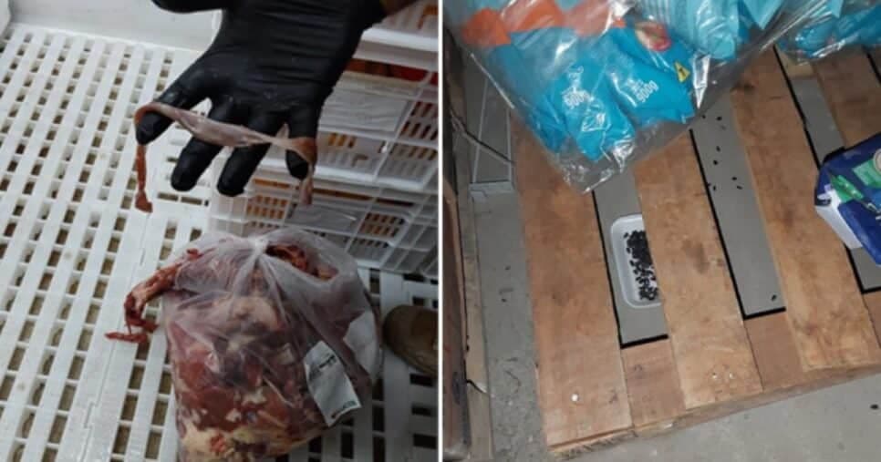 Supermercado é interditado por nojeira - Foto: Internet