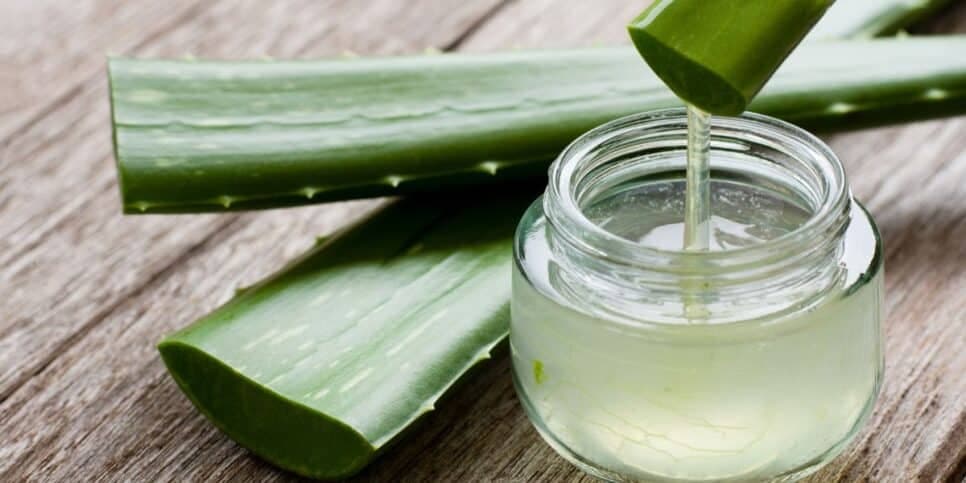 Cabelo, Aloe Vera, Babosa