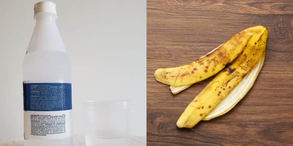 Soro e casca de banana ajudam a clarear a pele (Reprodução: Montagem TV Foco)