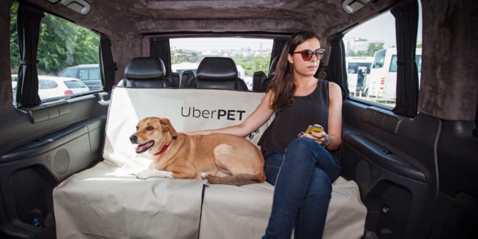 Uber Pet começou em dezembro de 2023 (Reprodução: Uber)