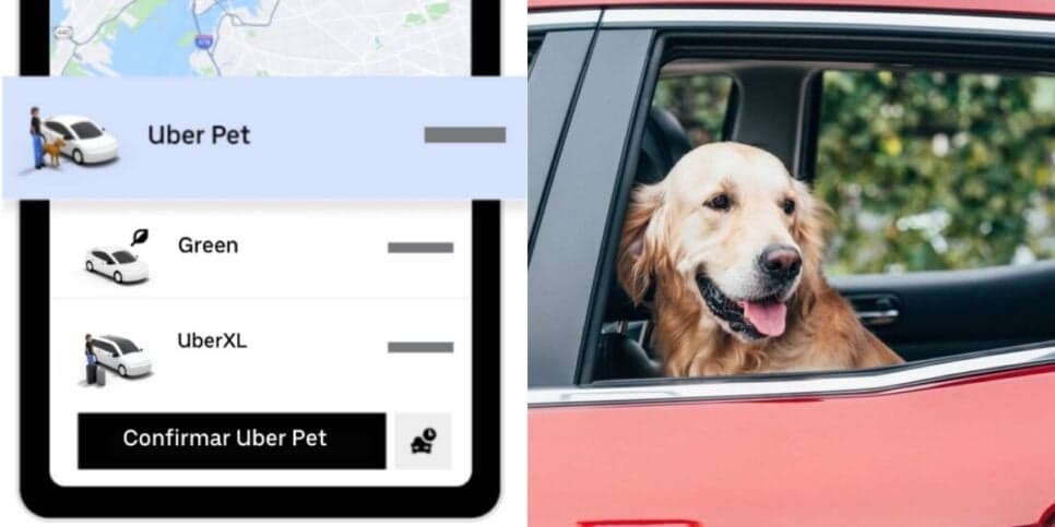 Reserve a sua viagem no Uber Pet (Reprodução: Montagem TV Foco)