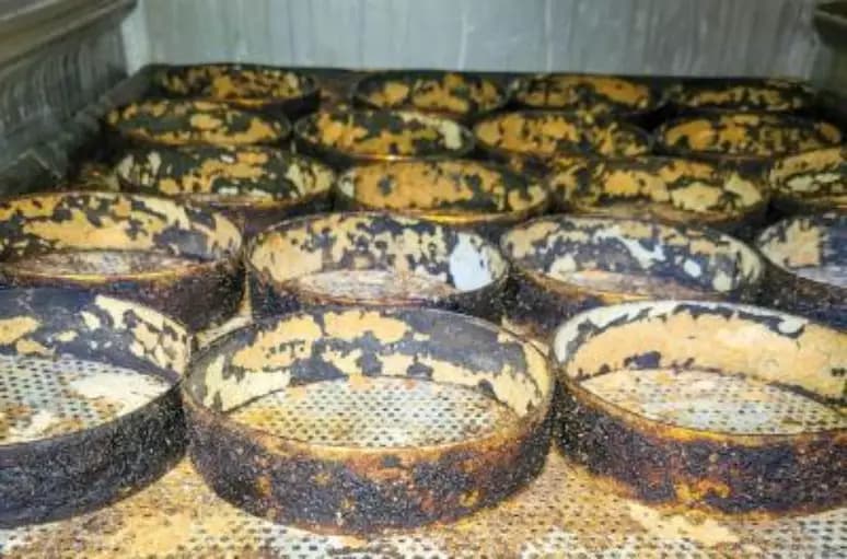 Vigilância Sanitária interditou restaurante após nojeira e podridão (Foto: Reprodução/ Internet)