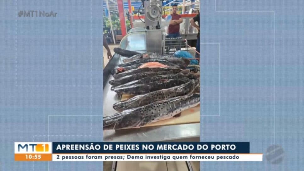 Imagem do post Imagem do post