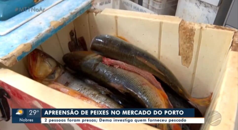Imagem do post Imagem do post