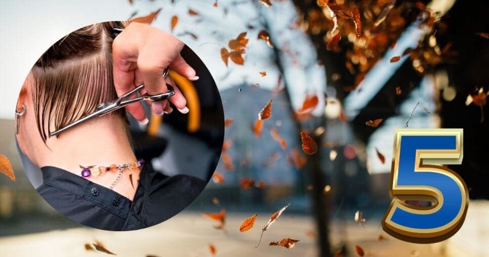Tendências do outono: 5 cortes de cabelo que rejuvenescem idosas 60+ em 20 anos