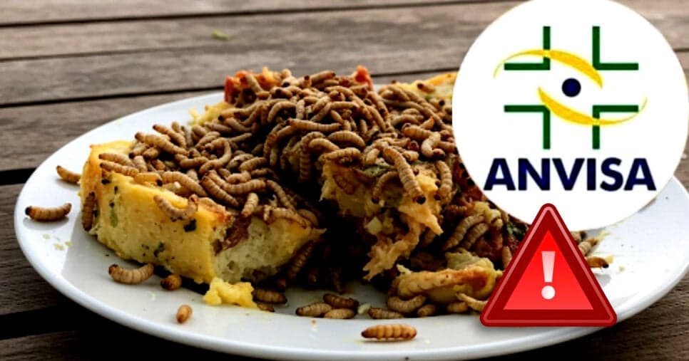 Comida com larvas: ANVISA liga o alerta com descoberta estarrecedora em nº1 de Recife, PE