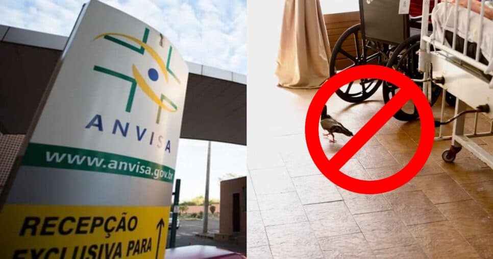 ANVISA interdita nº1 dos 60+ em Salvador, Bahia: Estabelecimento flagrado com mofo traz prisão da dona