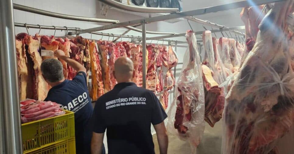 Carnes encontradas