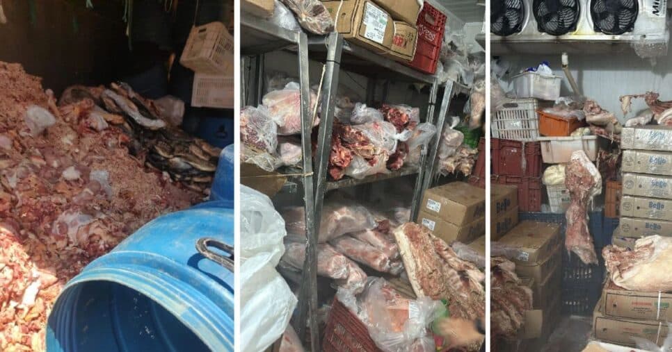Carnes inapropriadas e em estado de putrificado (Foto Reprodução/Folha MS) 