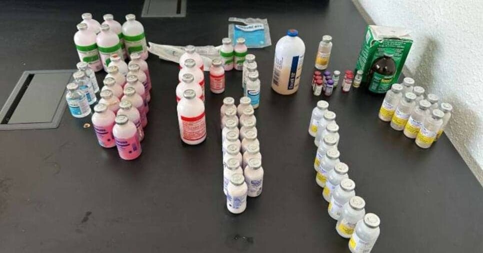 Itens apreendidos pela vigilância sanitária