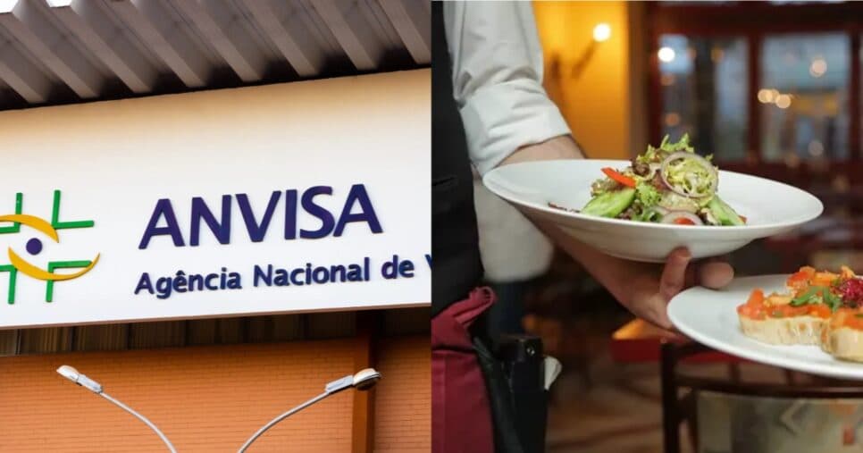 Anvisa em alerta: Restaurante famoso de shopping em Pernambuco sofre com infestação de ratos em 2025