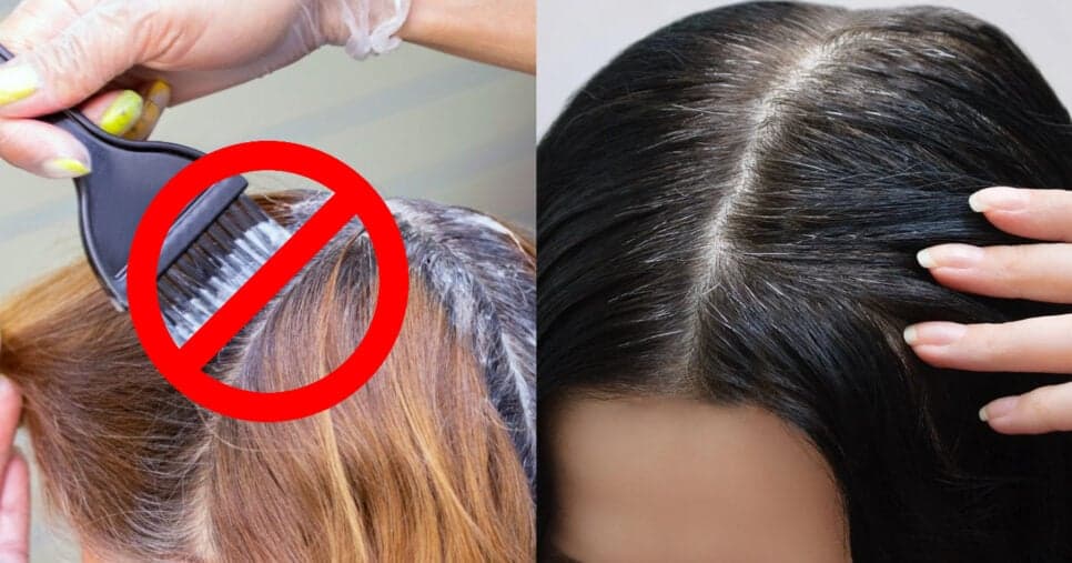 Fim do cabelo branco: 4 truques infalíveis para eliminar fios grisalhos sem usar nenhuma tinta