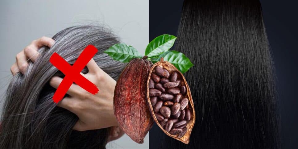 Carinha de 30: Tinta natural com cacau +3 ingredientes caseiros acaba com o cabelo grisalho em 30 minutos