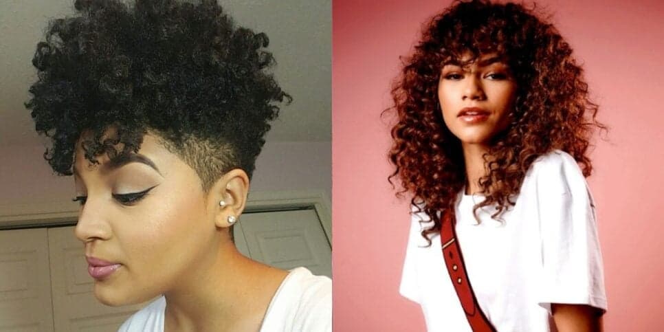 Tapered Cut e Curly Shaggy (Reprodução: Montagem TV Foco)