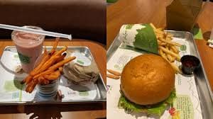 Imagem do post Imagem do post