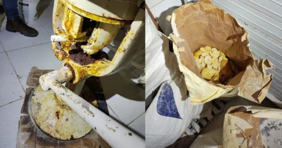 Pães e massas encontrados em meio a urina e fezes de rato, além dos venenos no entorno (Foto Reprodução/G1)