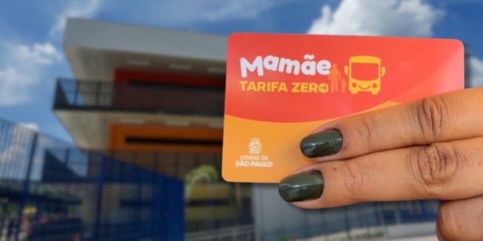 Lançou nesta semana o programa Mamãe Tarifa Zero (Reprodução: Governo-SP)