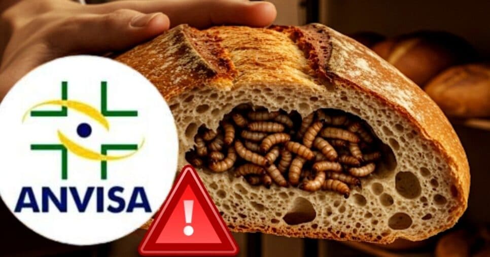 Pão recheado de larvas: Denúncia contra padaria popular faz ANVISA acender o alerta em SC