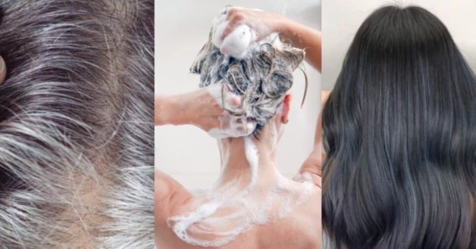 Fios brilhantes e macios: Receitinha com 3 ingredientes escurece o cabelo branco em 30 minutos