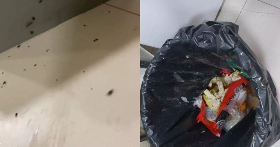 Infestação de larvas e baratas foi revelada pelas autoridades (Foto Reprodução/Montagem/YouTube)
