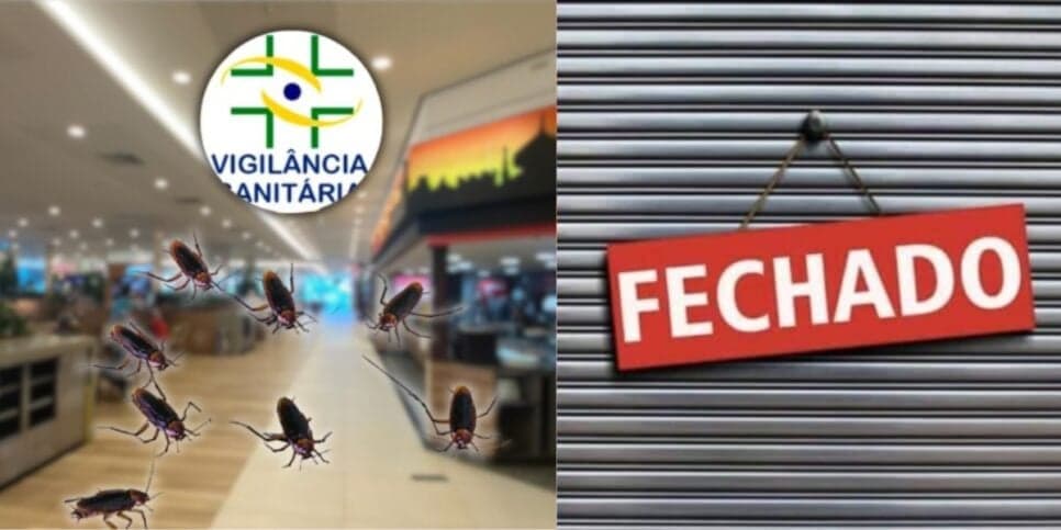 Infestado de baratas: Vigilância Sanitária interdita 3 restaurantes de shopping popular no Brasil por asco