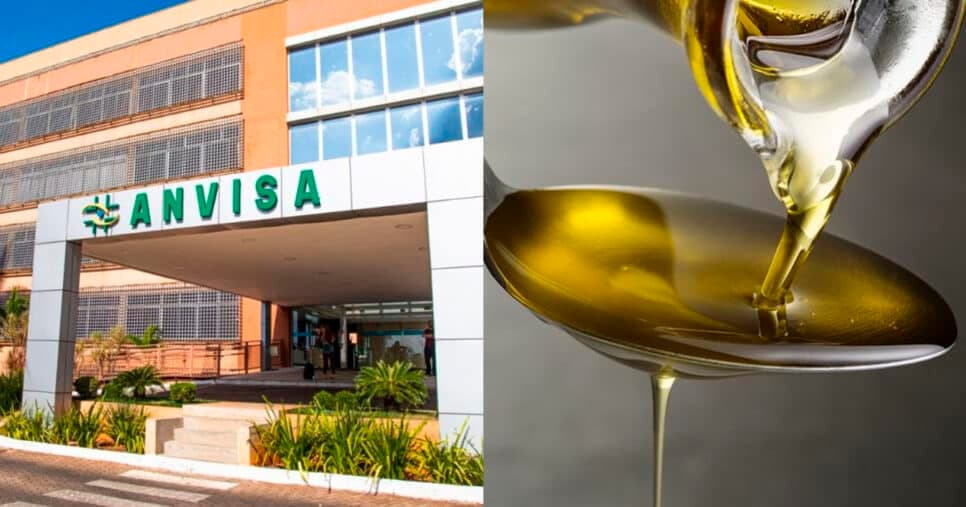 Proibição: Anvisa retira 2 marcas de azeite mais vendidas do Brasil das prateleiras