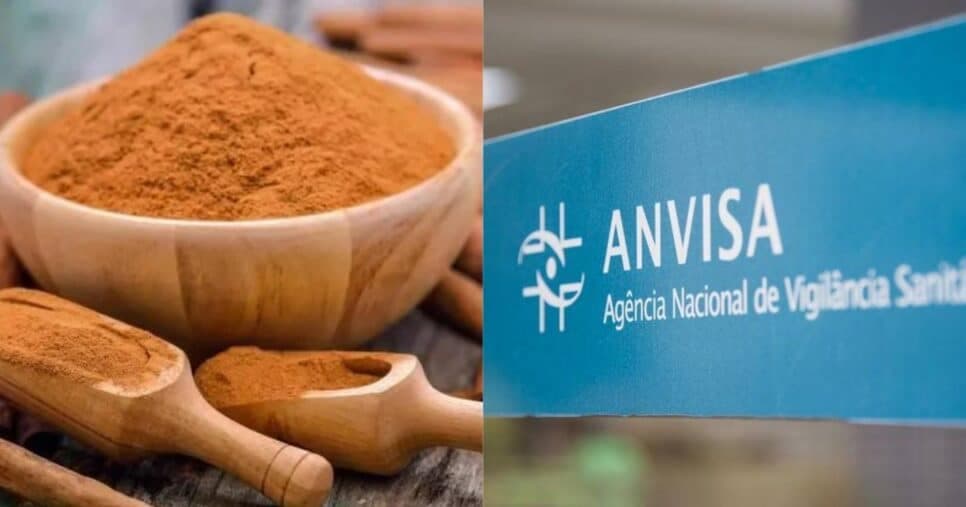 Anvisa ciente: Por que a canela da sua cozinha pode estar com pelos de rato?