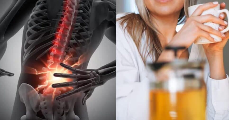 4 chás naturais que cravam alívio imediato e fim da dor na coluna