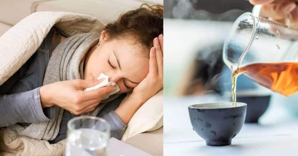 Você precisa beber esses 3 chás caseiros para salvar sua imunidade no inverno