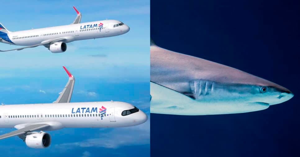 Como a LATAM está usando 'pele de tubarão' para baratear voos