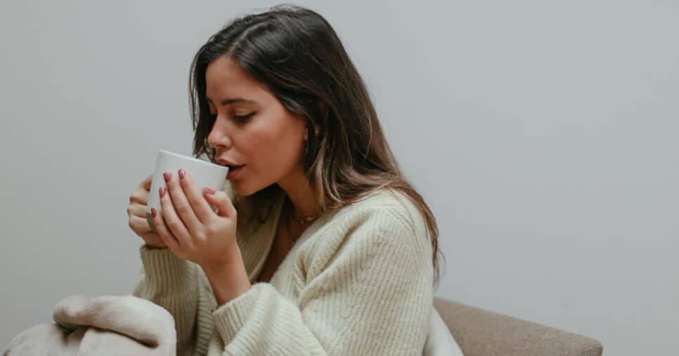 Chá de vitamina C com cinco ingredientes turbina a imunidade no inverno