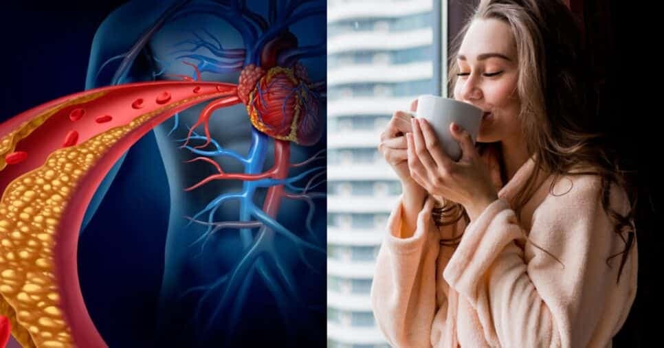 Chá caseiro é tão potente que é capaz de eliminar o colesterol alto
