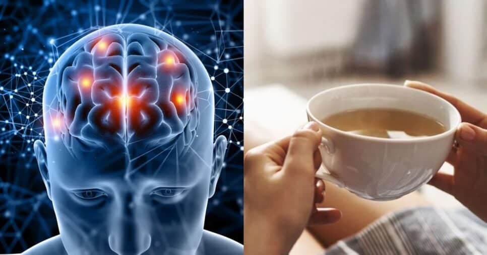 Chá natural com apenas 2 ingredientes previne contra o Alzheimer