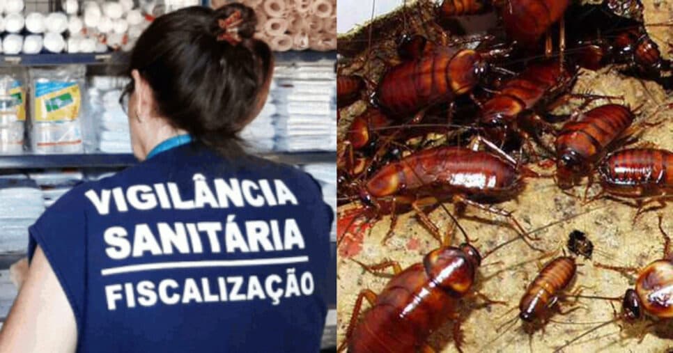 Infestação de baratas: Vigilância Sanitária interdita 3 restaurantes populares por nojeira