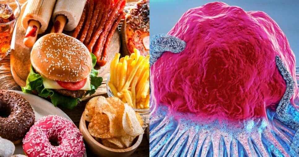 10 alimentos populares que aumentam o risco de câncer aos 50+