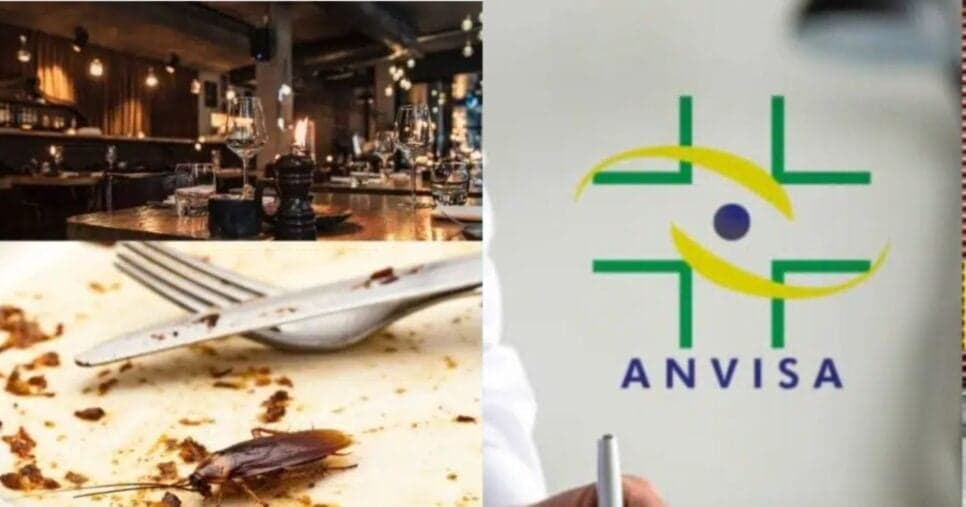Infestação de baratas: Record confirma veredito de fechamento da Anvisa em 3 restaurantes de shopping famoso