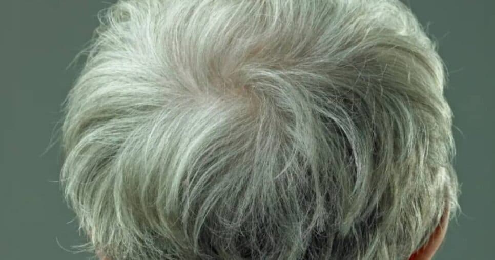 Tchau, aparência velha: Tinta natural cobre de vez o cabelo branco sem gastar no salão