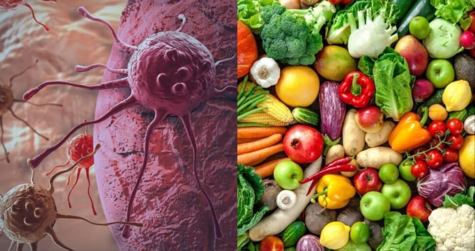 4 alimentos naturais que ajudam a prevenir o câncer