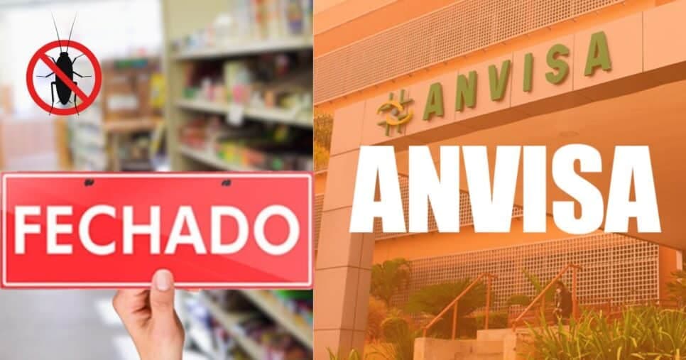 Baratas e mau cheiro: Interdição de mercado n°1 acende alerta da Anvisa
