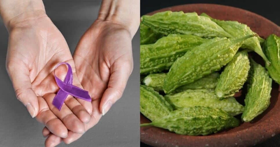 Uma planta simples é capaz de matar até 98% das células cancerígenas