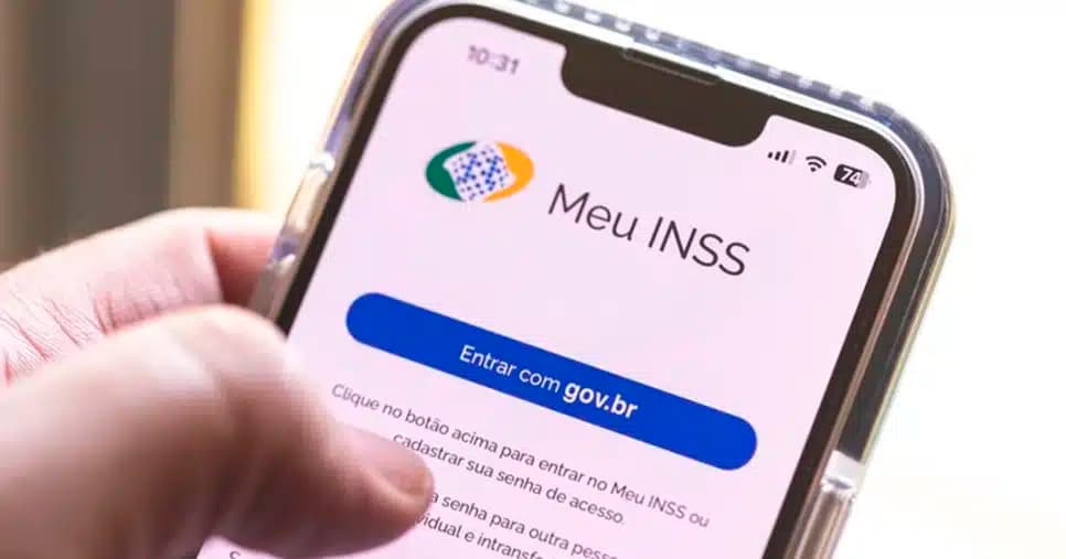 Aplicativo Meu INSS (Foto: Reprodução)